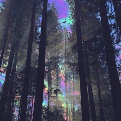 亚虎娱乐手机app下载