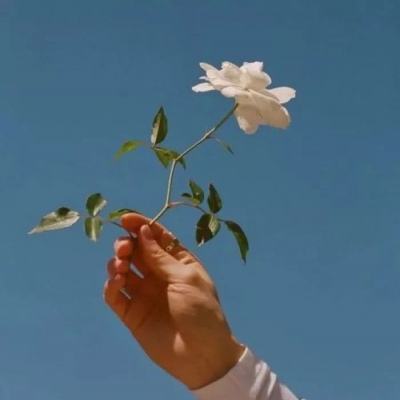 爱游戏(ayx)中国官方网站