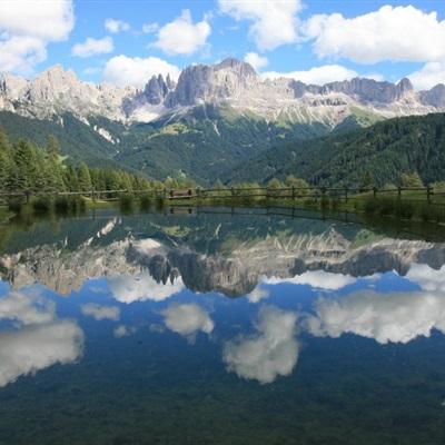 完美电竞平台手机app下载截图