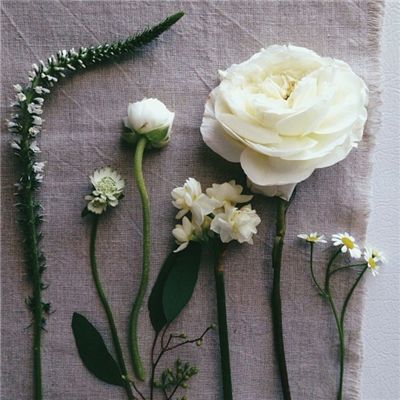 leyu·乐鱼(中国)体育手机app下载